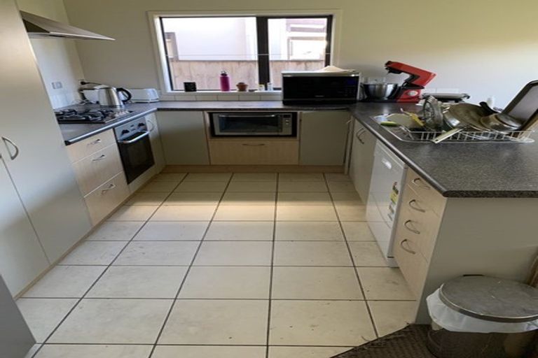 Photo of property in 19 Janway Avenue, Flat Bush, Auckland, 2016