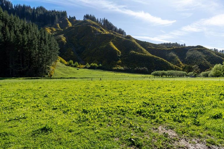 Photo of property in 208 Mount Riley Road, Okaramio, Havelock, 7178