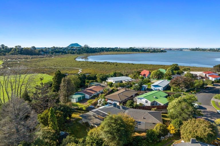 Photo of property in 175 Kingswood Road, Brookfield, Tauranga, 3110