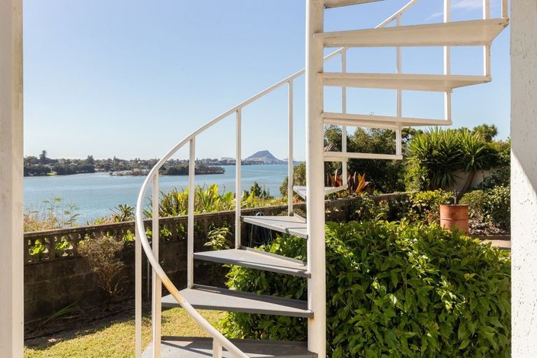Photo of property in 63 Ririnui Place, Maungatapu, Tauranga, 3112