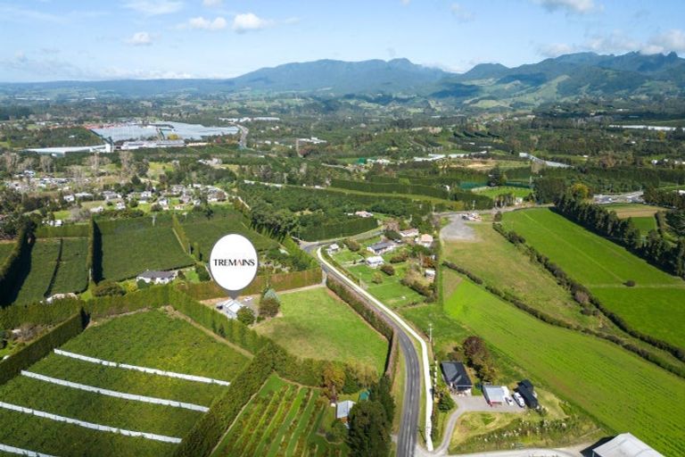 Photo of property in 50 Tetley Road, Tahawai, Katikati, 3178