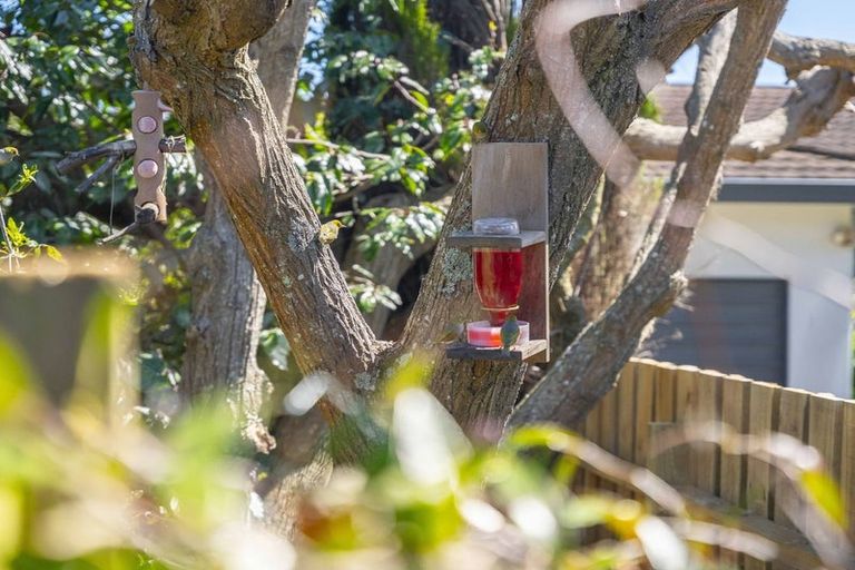 Photo of property in 40 Arrowsmith Avenue, Waipahihi, Taupo, 3330