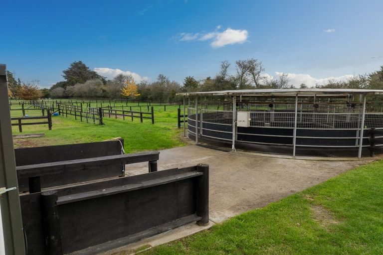 Photo of property in 204 Racecourse Road, Cambridge, 3493