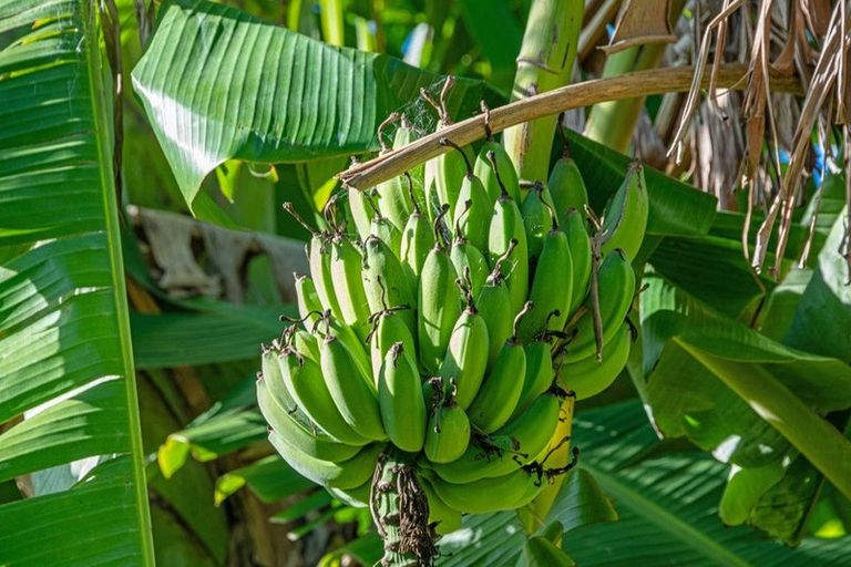 Photo of property in 2640 South Head Road, South Head, Helensville, 0874