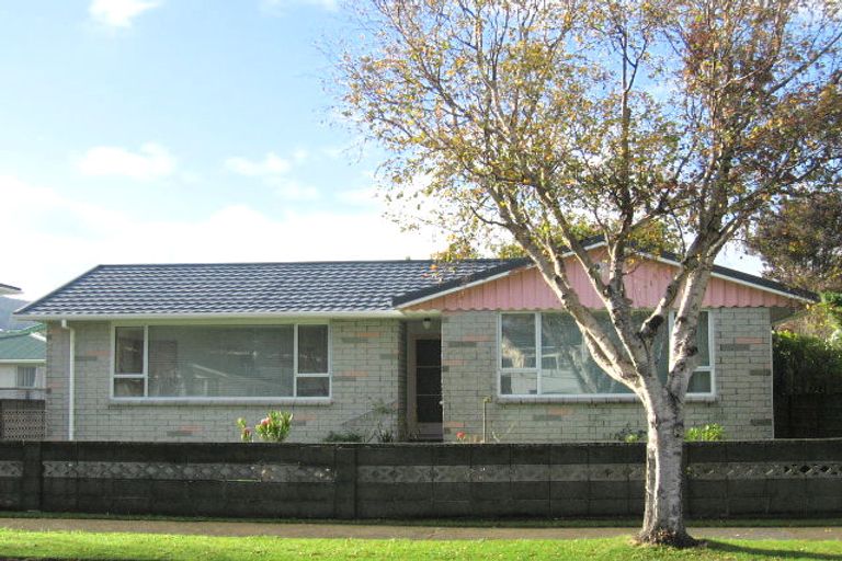 Photo of property in 5 Airdrie Avenue, Epuni, Lower Hutt, 5011