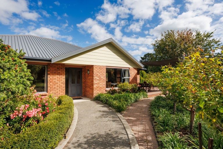 Photo of property in 285 Forlong Road, Colyton, Feilding, 4775
