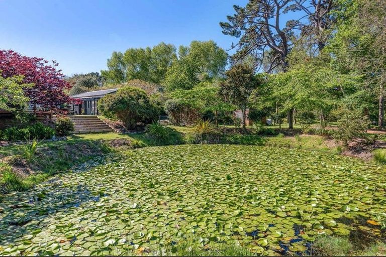 Photo of property in 75 Makora Road, Otaihanga, Paraparaumu, 5036