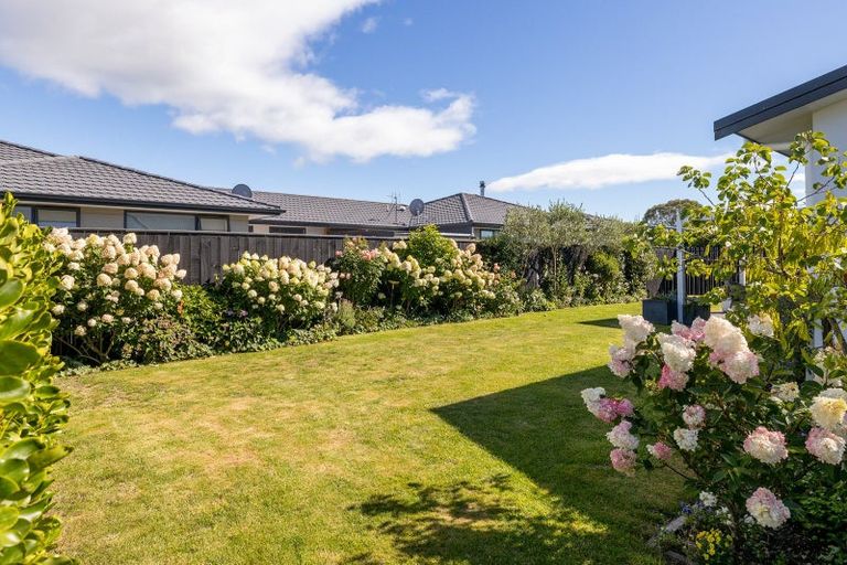 Photo of property in 20 Whatman Avenue, Masterton, 5810