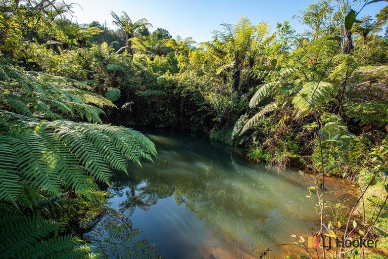 Photo of property in 166b Heard Road, Waihi, 3681