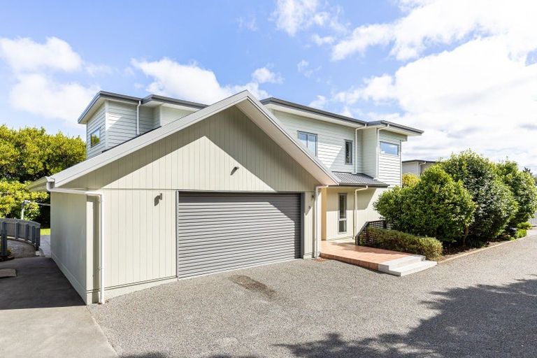 Photo of property in 9c Dillon Street, Blenheim, 7201
