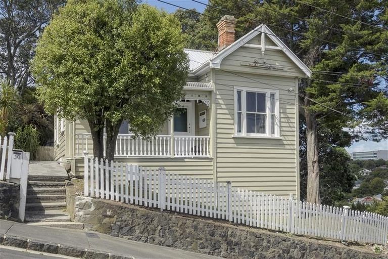 Photo of property in 30 Potatau Street, Grey Lynn, Auckland, 1021