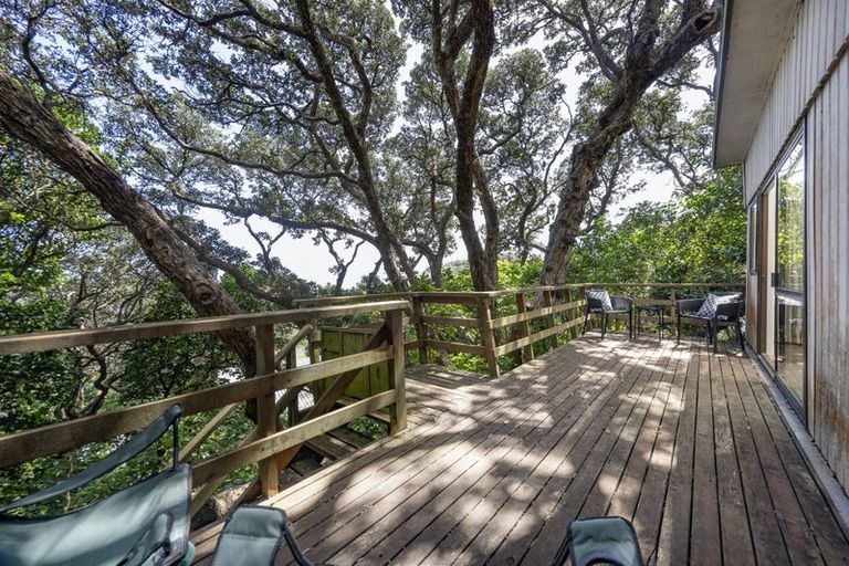 Photo of property in 59 North Piha Road, Piha, 0772