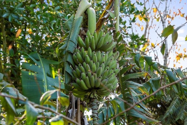 Photo of property in 7091 South Road, Warea, New Plymouth, 4381