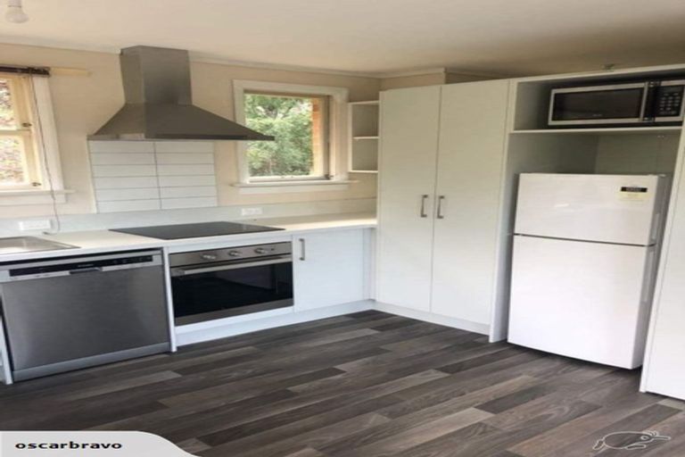 Photo of property in 191 Evans Street, Opoho, Dunedin, 9010