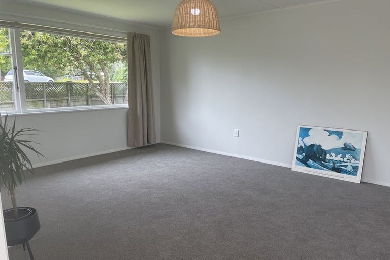 Photo of property in 45 Tutanekai Street, Paraparaumu, 5032