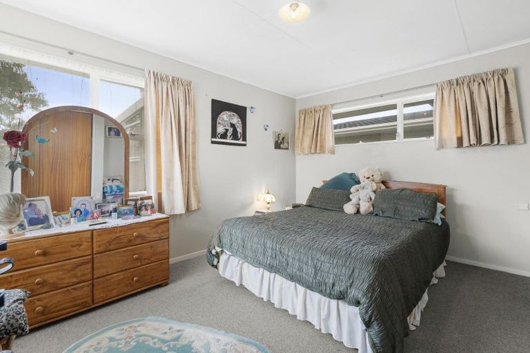 Photo of property in 46 Durham Street, Levin, 5510