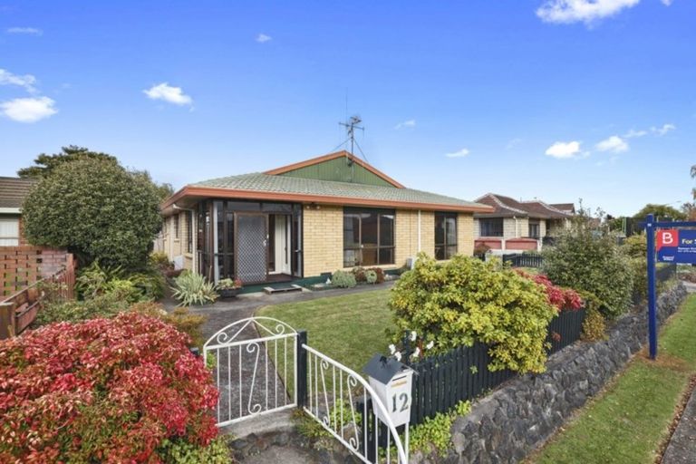 Photo of property in 12 Kowhai Avenue, Morrinsville, 3300