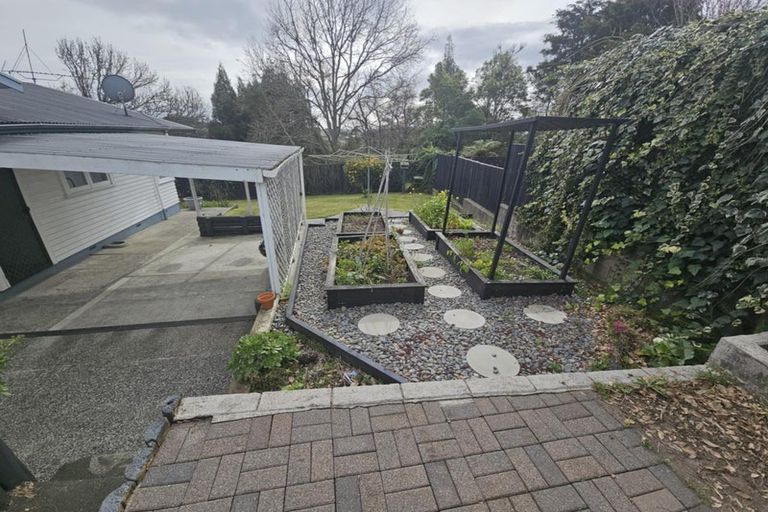 Photo of property in 11 Edith Place, Dinsdale, Hamilton, 3204