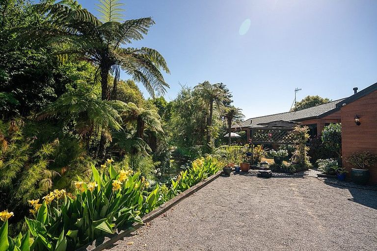 Photo of property in 42 Guildford Drive, Paraparaumu, 5032