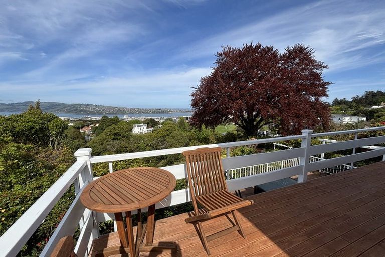 Photo of property in 30 Tweed Street, Roslyn, Dunedin, 9010