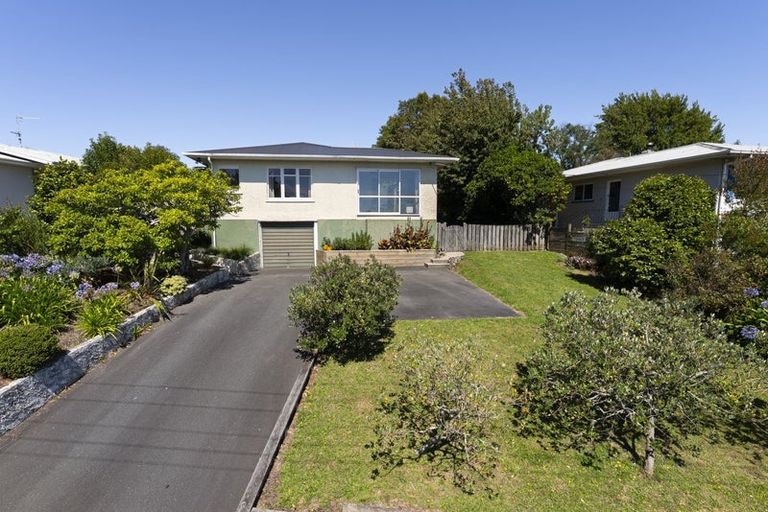 Photo of property in 46 Surrey Road, Richmond, 7020