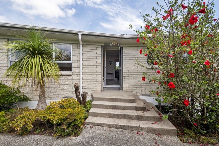 Photo of property in 18 Taratoa Street, Parkvale, Tauranga, 3112