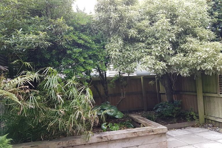 Photo of property in 3/62 Burke Street, Addington, Christchurch, 8024