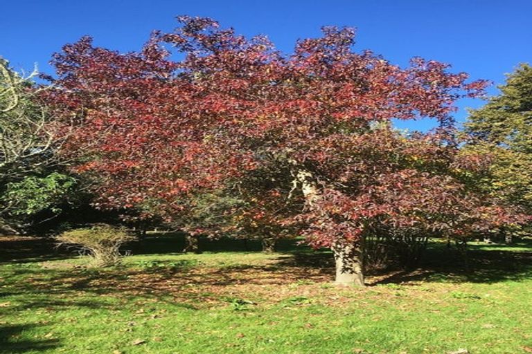 Photo of property in 3 West Beach Road, Mohaka, Wairoa, 4189