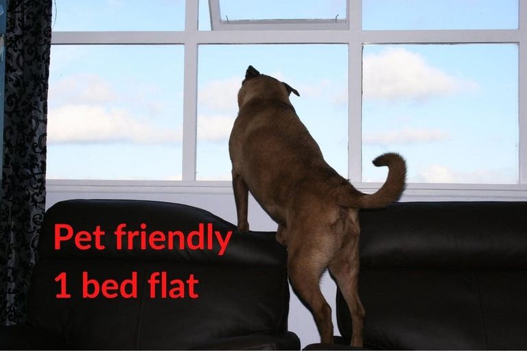 Photo of property in 15a Whaui Street, Vogeltown, Wellington, 6021