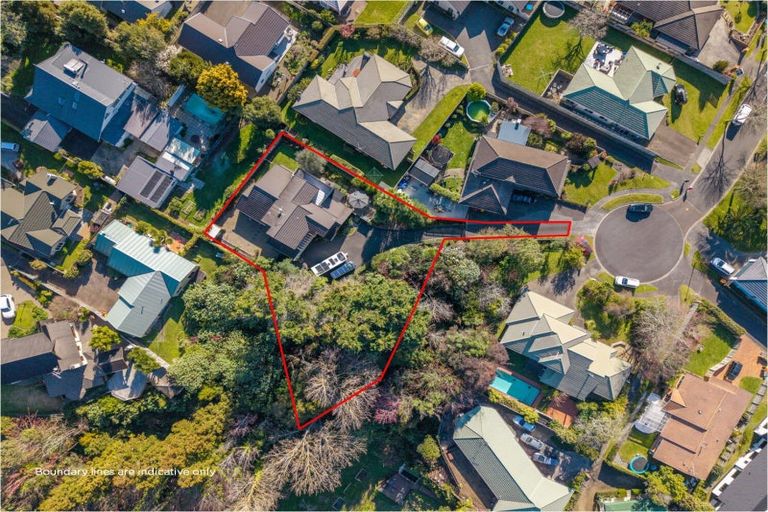 Photo of property in 12 Pascal Place, Flagstaff, Hamilton, 3210