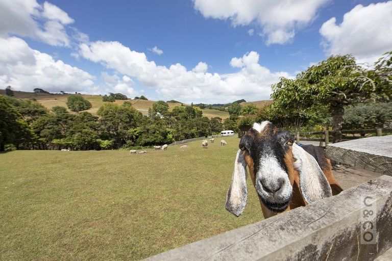 Photo of property in 913 Peak Road, Helensville, 0875