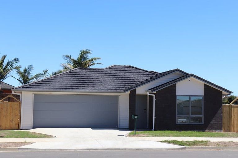 Photo of property in 35 Taepu Road, Pukekohe, 2120