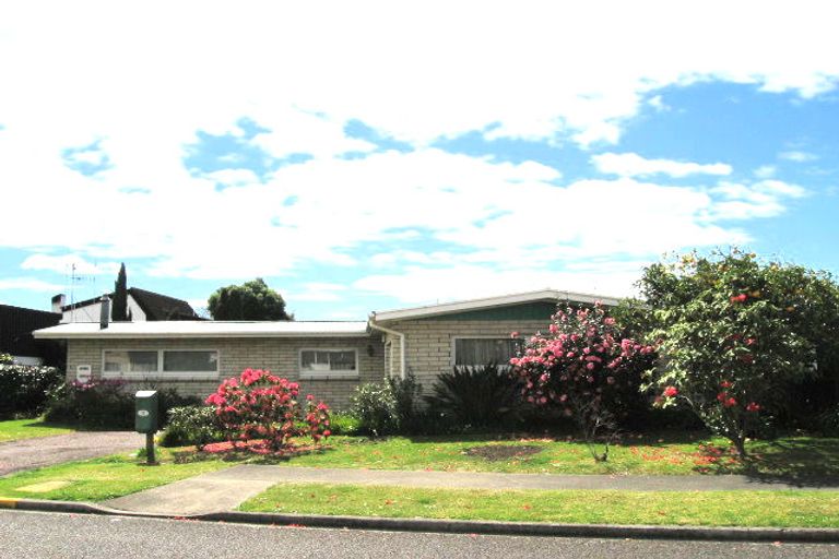 Photo of property in 23 Vine Avenue, Maungatapu, Tauranga, 3112