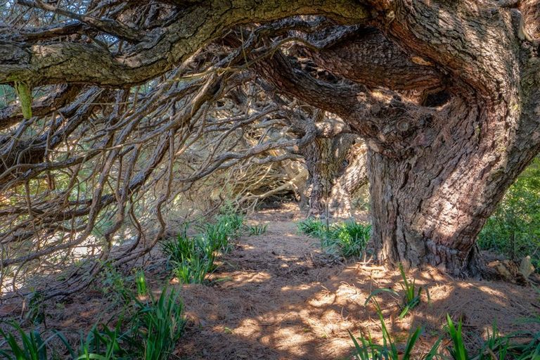 Photo of property in 308 Bush Road, Oxford, 7495