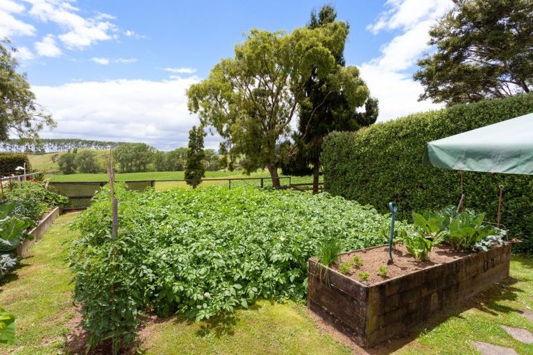 Photo of property in 113 Domain Road, Putaruru, 3482