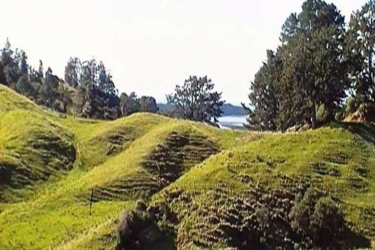 Photo of property in 352 Stanley Road, Wainui, Opotiki, 3198