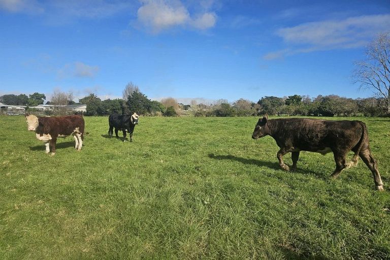 Photo of property in 43 Hongi Street, Kaikohe, 0405