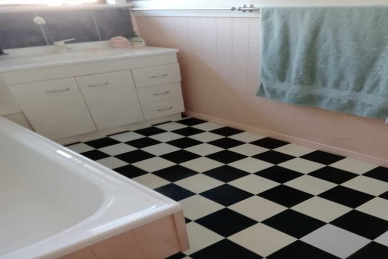 Photo of property in 19 Balmoral Street, Levin, 5510