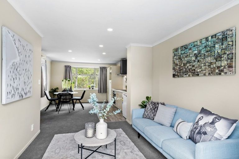 Photo of property in 146f Aro Street, Aro Valley, Wellington, 6021