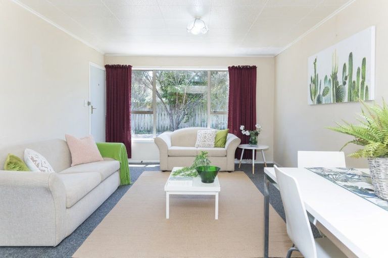 Photo of property in 40c Winter Street, Mangapapa, Gisborne, 4010