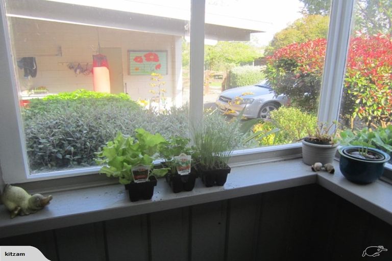 Photo of property in 205 Maunga Road, Pukeatua, 3880