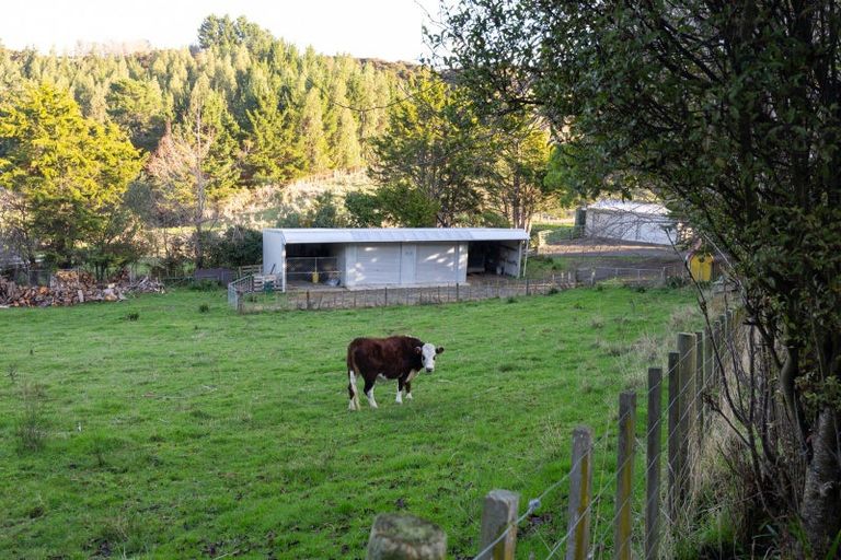 Photo of property in 771 Makino Road, Halcombe, Feilding, 4777