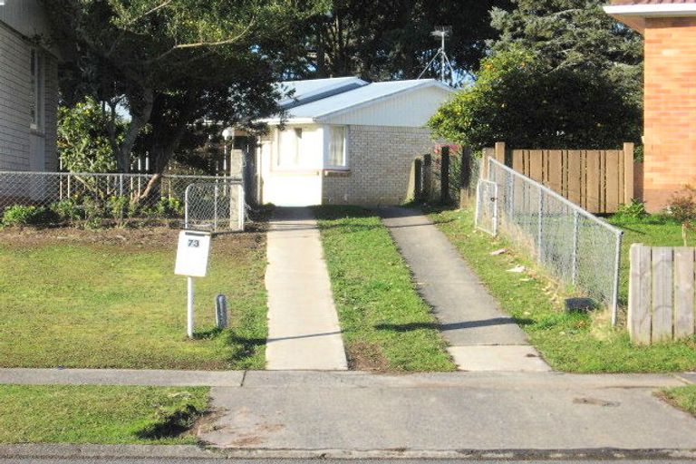 Photo of property in 73 Winstone Avenue, Chartwell, Hamilton, 3210