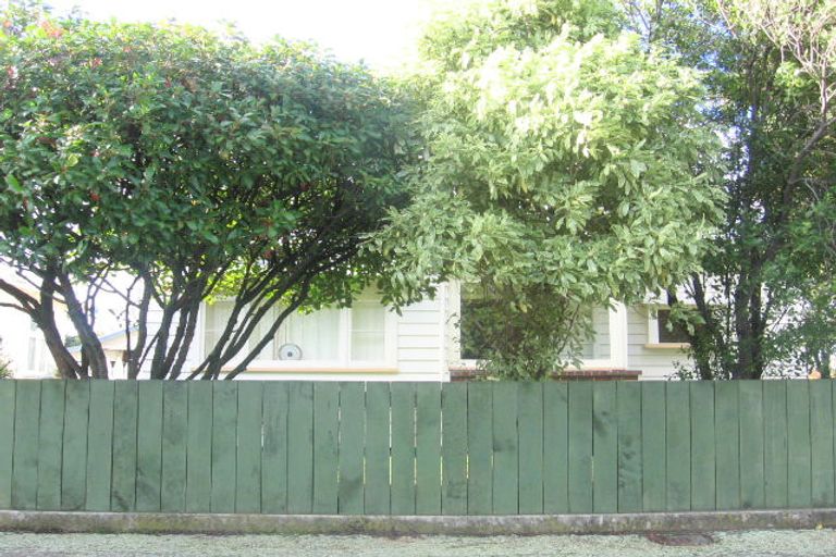 Photo of property in 47 Shamrock Street, Takaro, Palmerston North, 4412