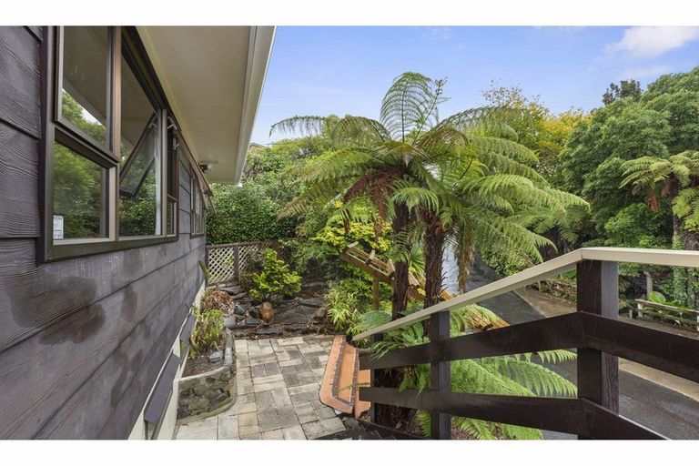 Photo of property in 54 Newcastle Road, Dinsdale, Hamilton, 3204