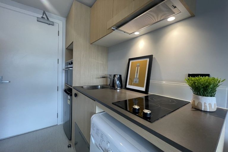 Photo of property in Vedado Apartments, 208/41 Hopper Street, Mount Cook, Wellington, 6011