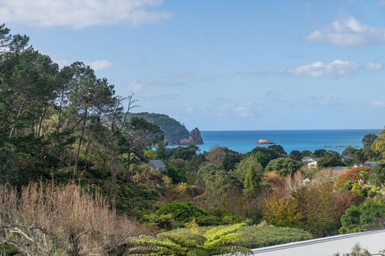Photo of property in 39 Grange Road, Hahei, Whitianga, 3591