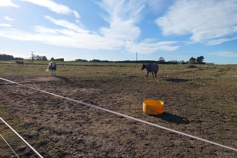 Photo of property in 8 Minnie Street, Waimate, 7980