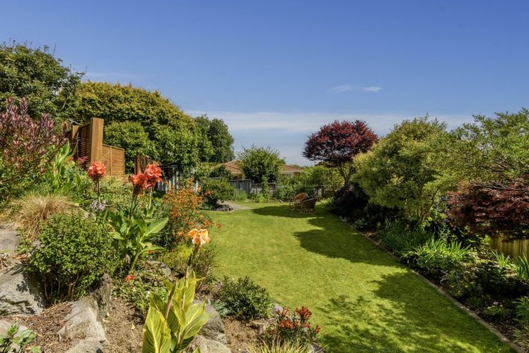 Photo of property in 6 Rochester Place, Bethlehem, Tauranga, 3110