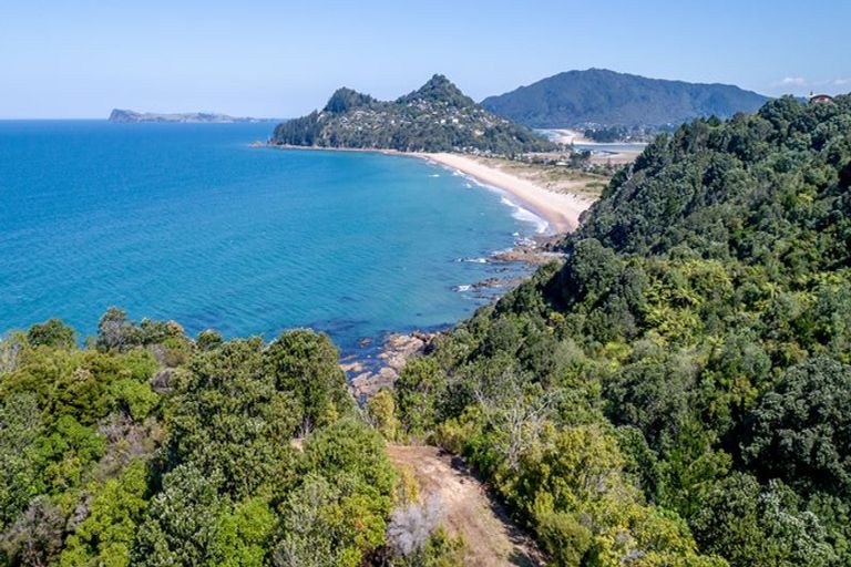 Photo of property in 160 Pumpkin Hill Road, Pumpkin Hill, Whitianga, 3591